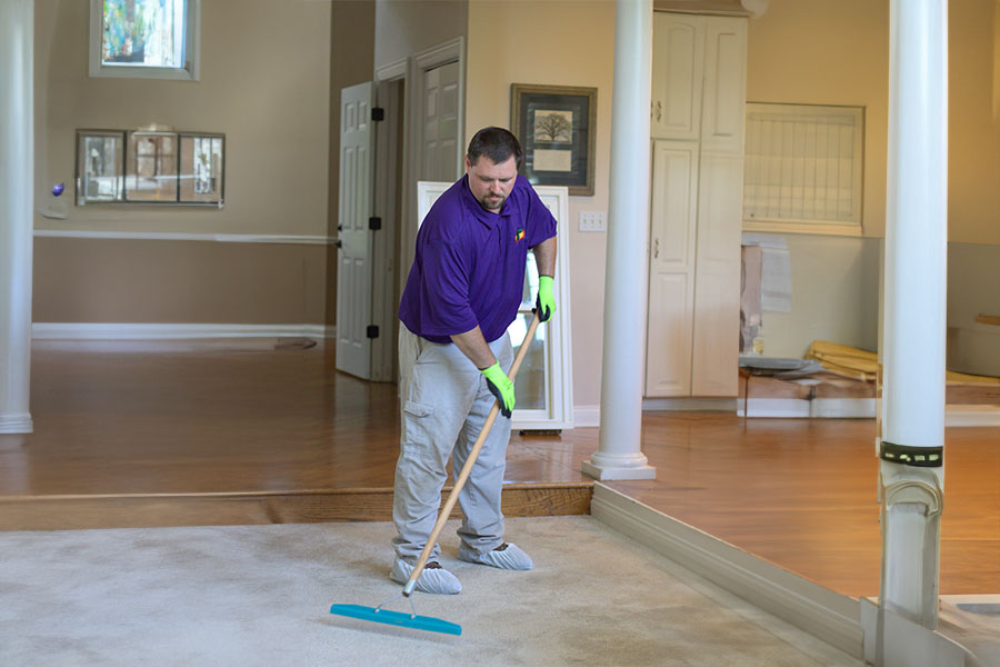 Focused technician in purple shirt providing carpet cleaning services, meticulously dry mopping the edges of a beige carpet in a spacious living room with hardwood flooring