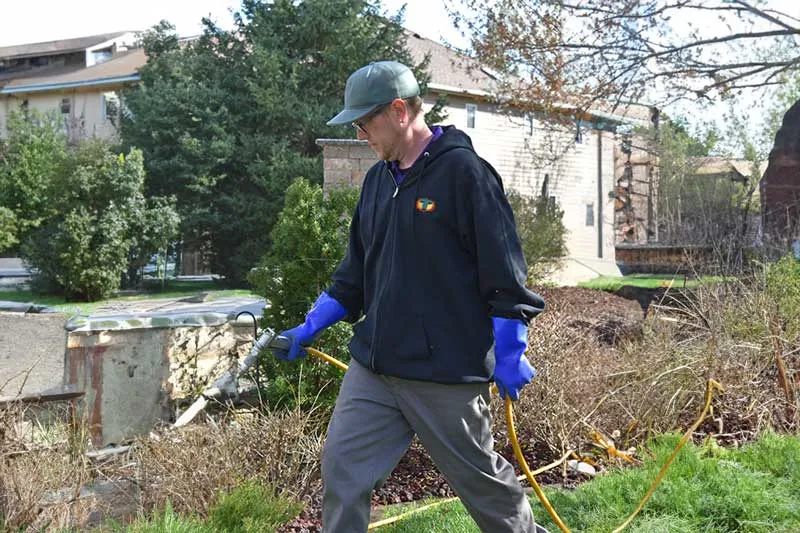 A professional from pest control services diligently treats a residential garden, ensuring protection against pests with a handheld sprayer