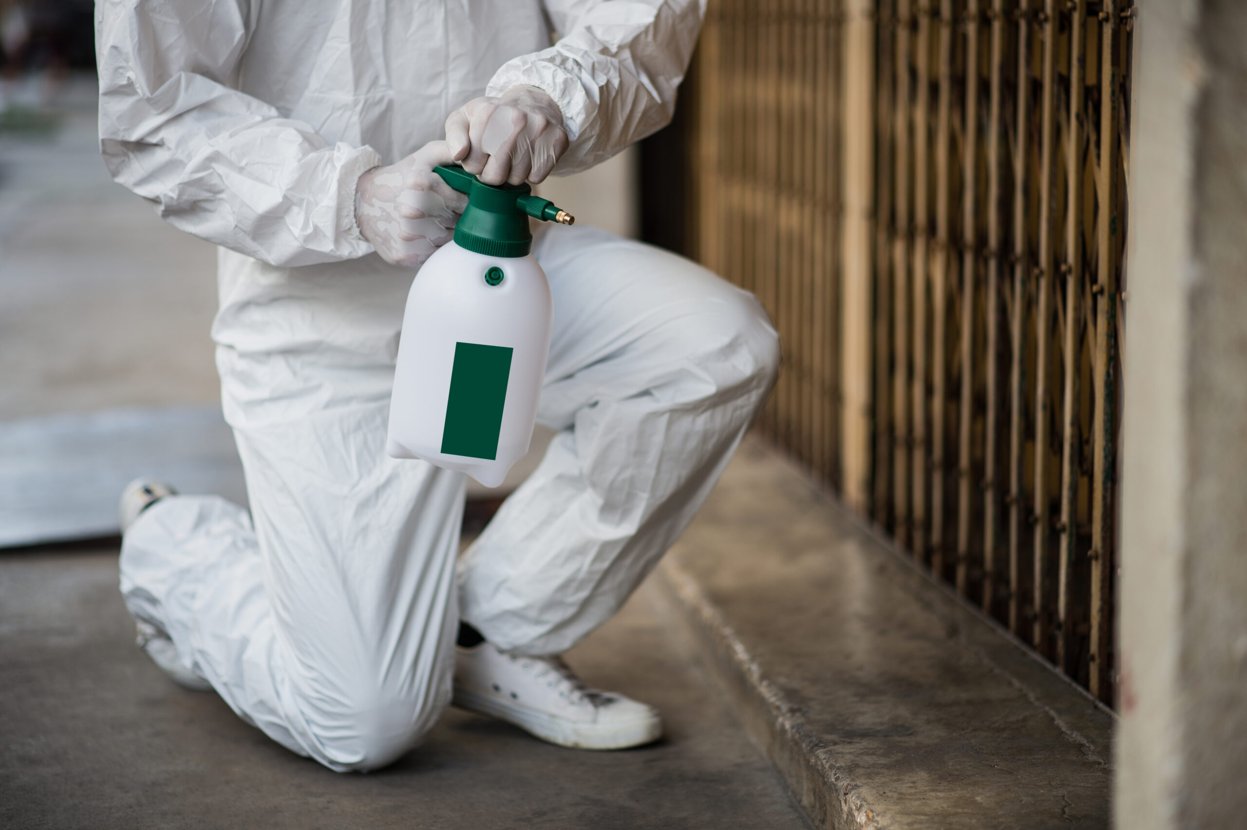 A person dressed in a white protective suit and gloves kneels on the ground, holding a pest control spray bottle.