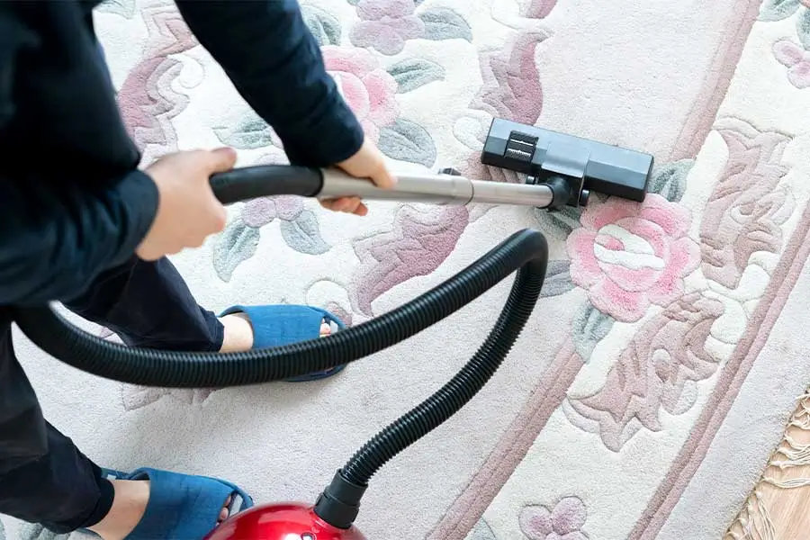 Person trying to remove a stain from their carpet, obviously needing professional area rug cleaning Naperville