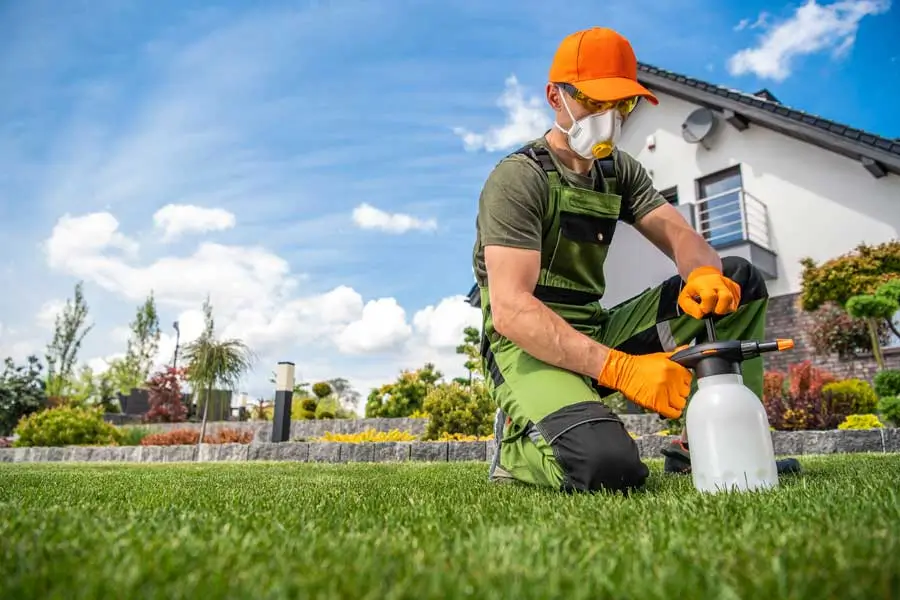 Gardener preparing handheld pump sprayer for Lawn Mosquito Control Treatment in a yard