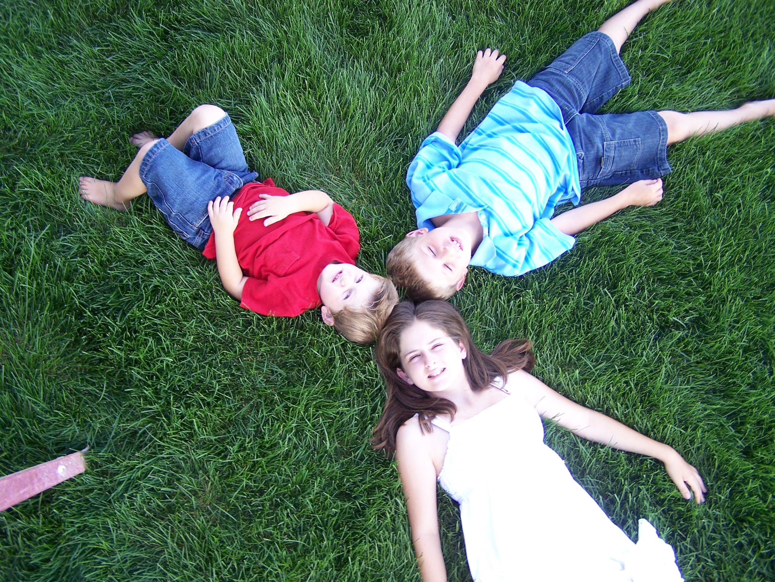 green t lawn care aurora il